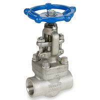 شیر سوزنی اروپایی